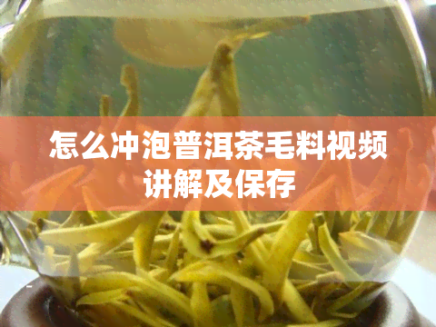 怎么冲泡普洱茶毛料视频讲解及保存