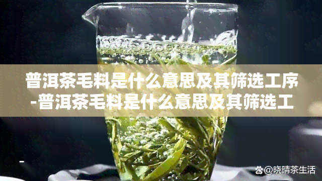 普洱茶毛料是什么意思及其筛选工序-普洱茶毛料是什么意思及其筛选工序