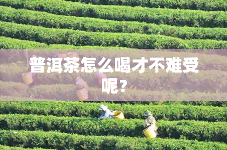 普洱茶怎么喝才不难受呢？