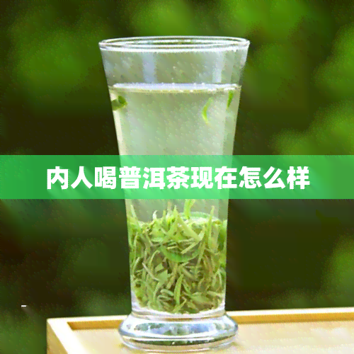 内人喝普洱茶现在怎么样