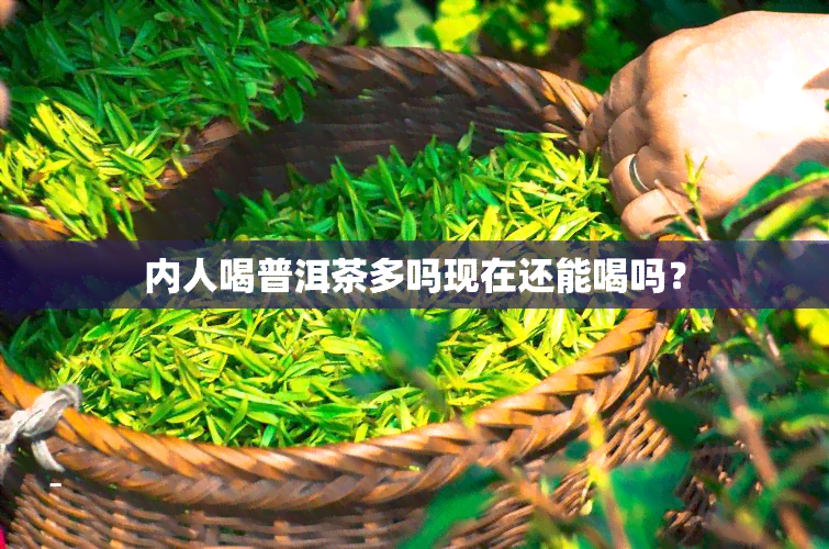 内人喝普洱茶多吗现在还能喝吗？