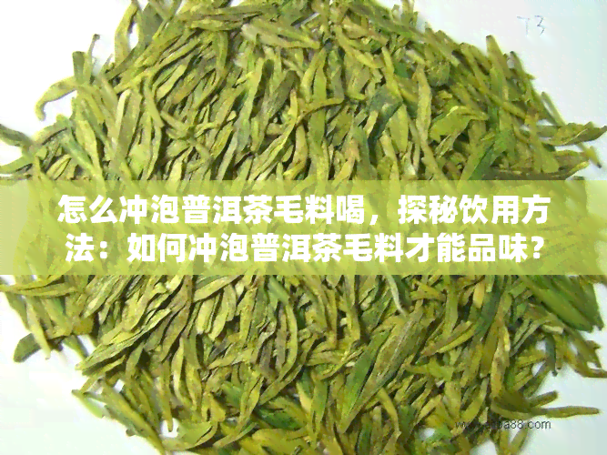 怎么冲泡普洱茶毛料喝，探秘饮用方法：如何冲泡普洱茶毛料才能品味？