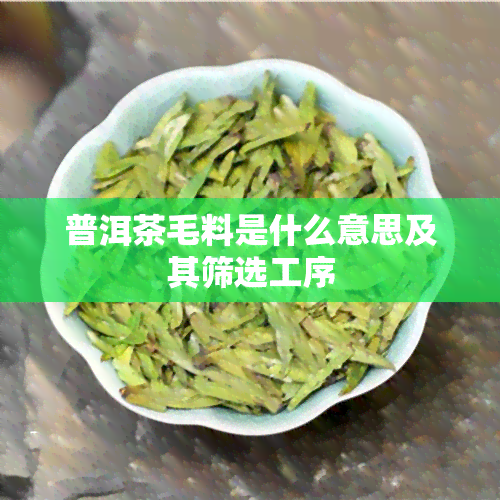 普洱茶毛料是什么意思及其筛选工序