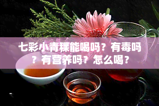 七彩小青稞能喝吗？有吗？有营养吗？怎么喝？