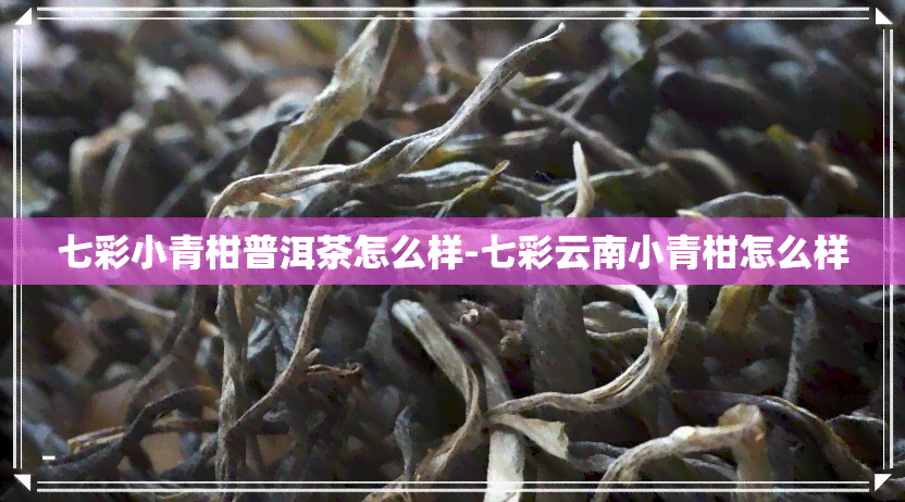 七彩小青柑普洱茶怎么样-七彩云南小青柑怎么样