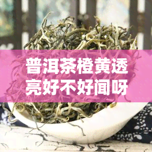 普洱茶橙黄透亮好不好闻呀：如何辨别及味道图示