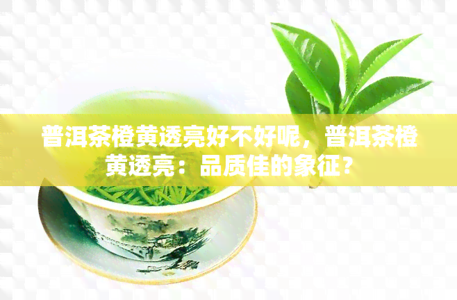 普洱茶橙黄透亮好不好呢，普洱茶橙黄透亮：品质佳的象征？