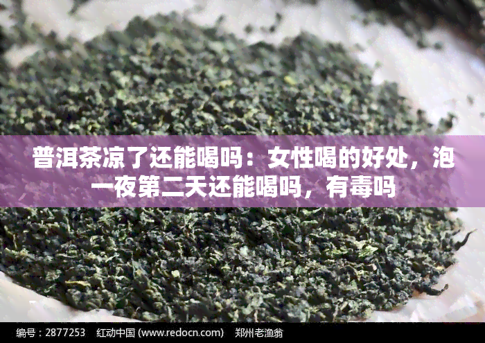 普洱茶凉了还能喝吗：女性喝的好处，泡一夜第二天还能喝吗，有吗