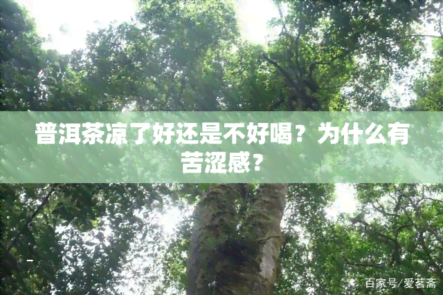 普洱茶凉了好还是不好喝？为什么有苦涩感？