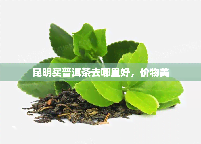 昆明买普洱茶去哪里好，价物美