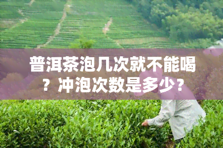 普洱茶泡几次就不能喝？冲泡次数是多少？