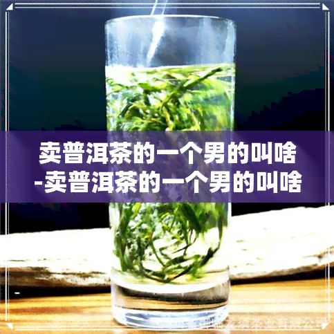 卖普洱茶的一个男的叫啥-卖普洱茶的一个男的叫啥名字