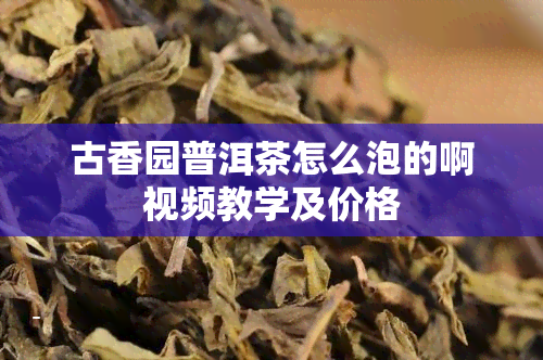 古香园普洱茶怎么泡的啊视频教学及价格