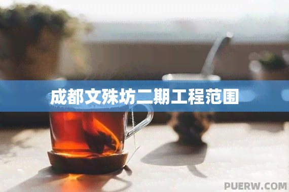 成都文殊坊二期工程范围