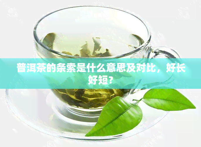 普洱茶的条索是什么意思及对比，好长好短？