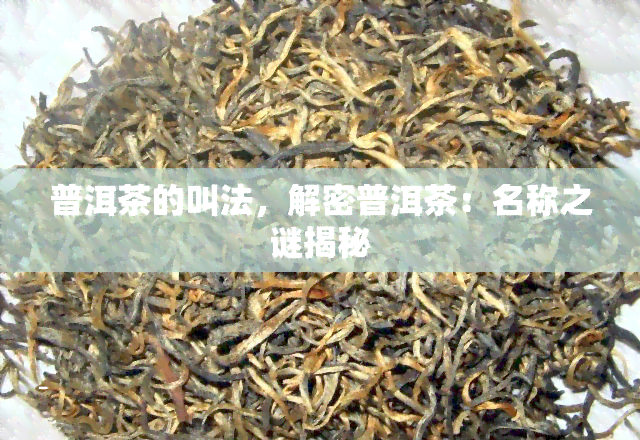 普洱茶的叫法，解密普洱茶：名称之谜揭秘