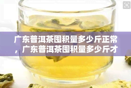 广东普洱茶囤积量多少斤正常，广东普洱茶囤积量多少斤才算正常？