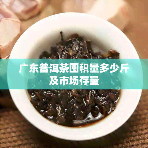 广东普洱茶囤积量多少斤及市场存量