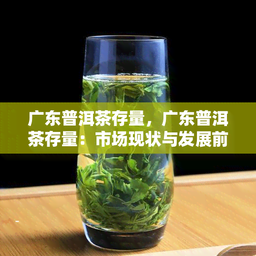 广东普洱茶存量，广东普洱茶存量：市场现状与发展前景分析