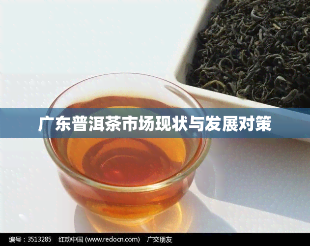 广东普洱茶市场现状与发展对策