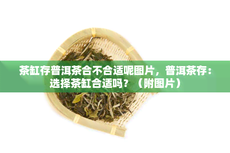 茶缸存普洱茶合不合适呢图片，普洱茶存：选择茶缸合适吗？（附图片）