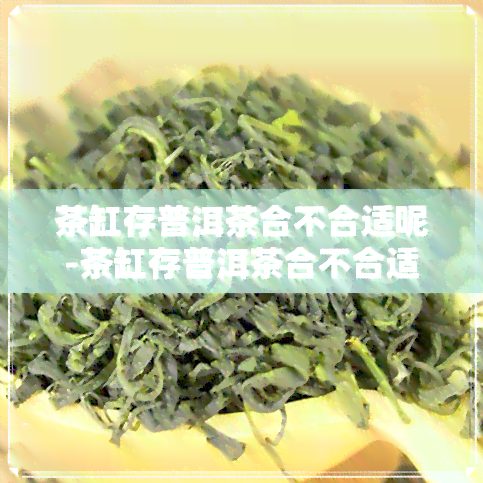 茶缸存普洱茶合不合适呢-茶缸存普洱茶合不合适呢怎么看