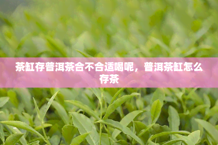 茶缸存普洱茶合不合适喝呢，普洱茶缸怎么存茶