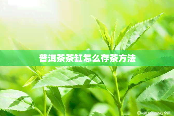 普洱茶茶缸怎么存茶方法