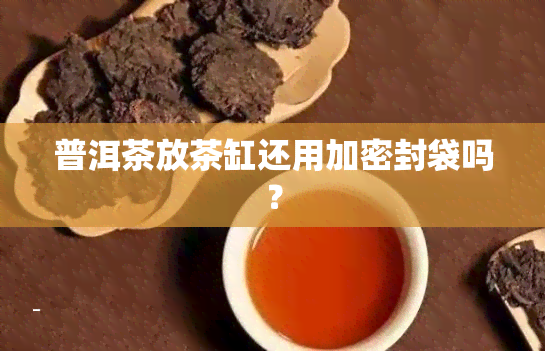 普洱茶放茶缸还用加密封袋吗？