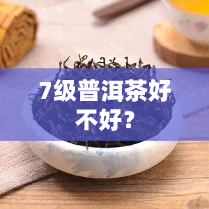 7级普洱茶好不好？