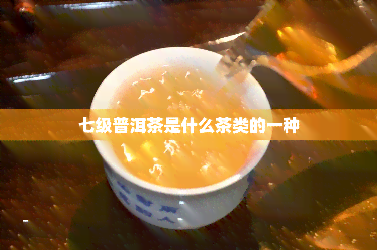 七级普洱茶是什么茶类的一种