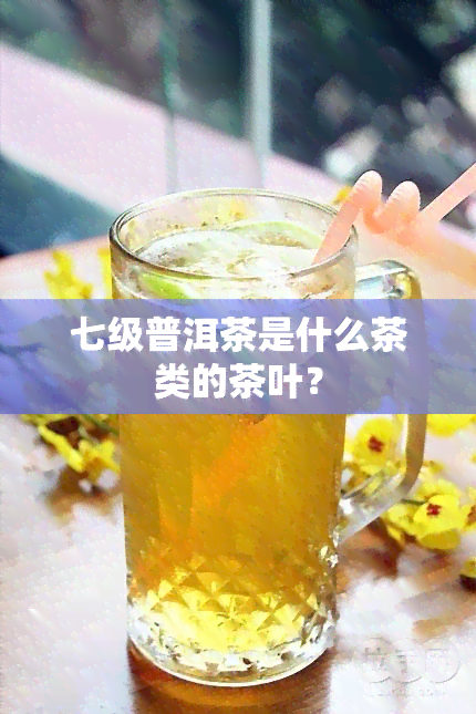 七级普洱茶是什么茶类的茶叶？