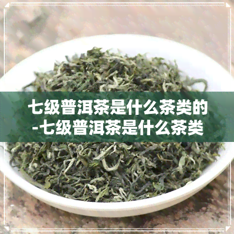 七级普洱茶是什么茶类的-七级普洱茶是什么茶类的茶