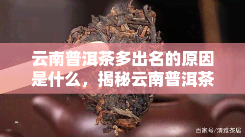 云南普洱茶多出名的原因是什么，揭秘云南普洱茶成为知名茶叶的原因