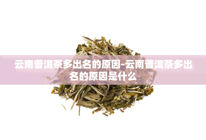 云南普洱茶多出名的原因-云南普洱茶多出名的原因是什么