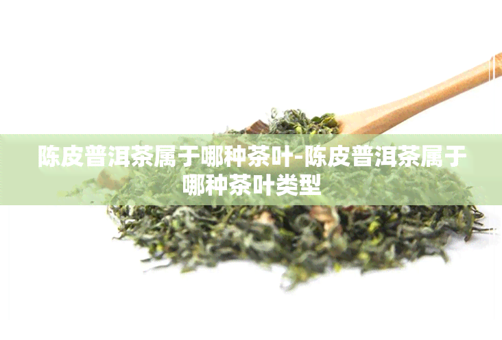 陈皮普洱茶属于哪种茶叶-陈皮普洱茶属于哪种茶叶类型