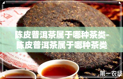 陈皮普洱茶属于哪种茶类-陈皮普洱茶属于哪种茶类