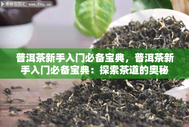 普洱茶新手入门必备宝典，普洱茶新手入门必备宝典：探索茶道的奥秘