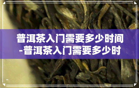 普洱茶入门需要多少时间-普洱茶入门需要多少时间才能喝