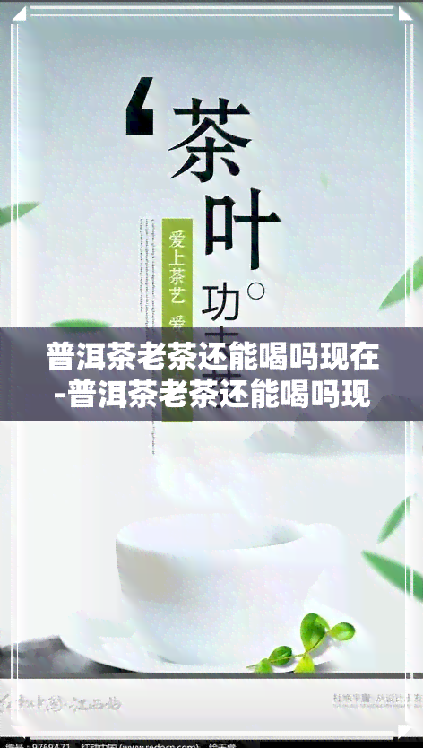 普洱茶老茶还能喝吗现在-普洱茶老茶还能喝吗现在还能喝吗