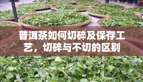 普洱茶如何切碎及保存工艺，切碎与不切的区别