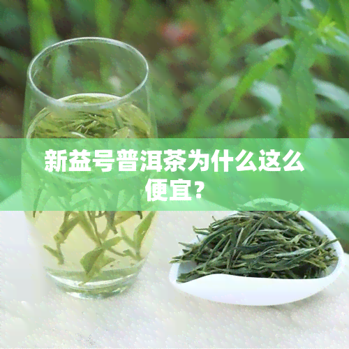 新益号普洱茶为什么这么便宜？