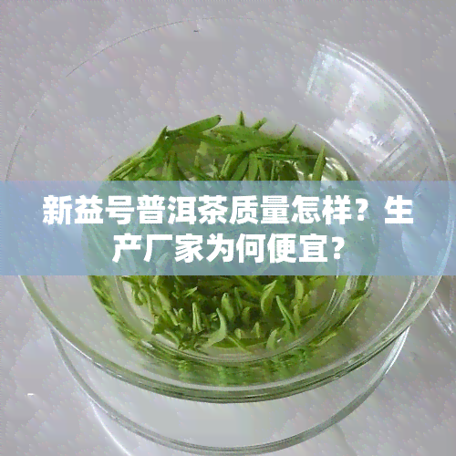 新益号普洱茶质量怎样？生产厂家为何便宜？