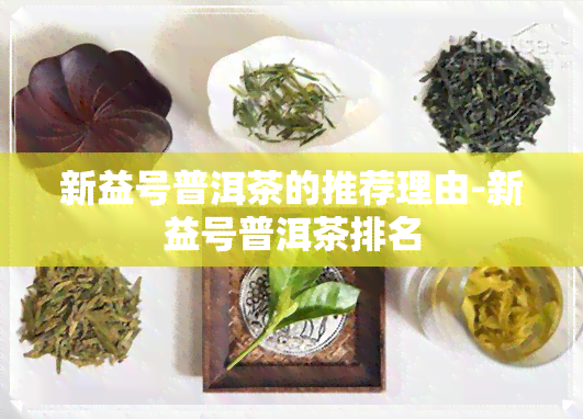 新益号普洱茶的推荐理由-新益号普洱茶排名