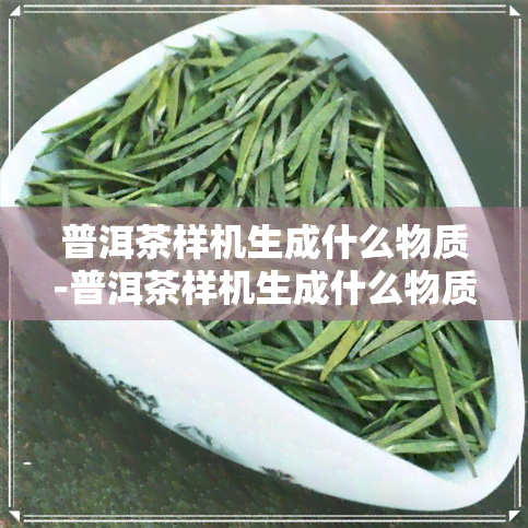 普洱茶样机生成什么物质-普洱茶样机生成什么物质的