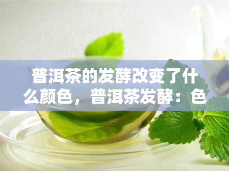 普洱茶的发酵改变了什么颜色，普洱茶发酵：色彩转变的奥秘