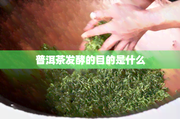 普洱茶发酵的目的是什么