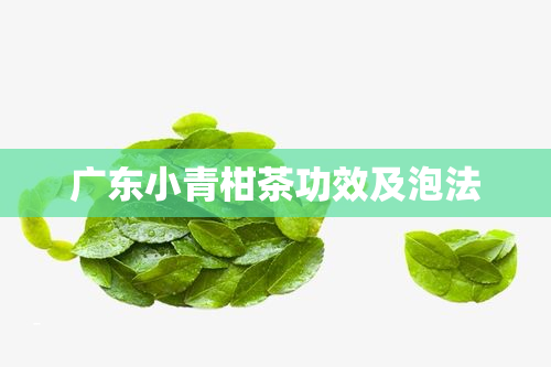 广东小青柑茶功效及泡法