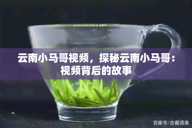 云南小马哥视频，探秘云南小马哥：视频背后的故事