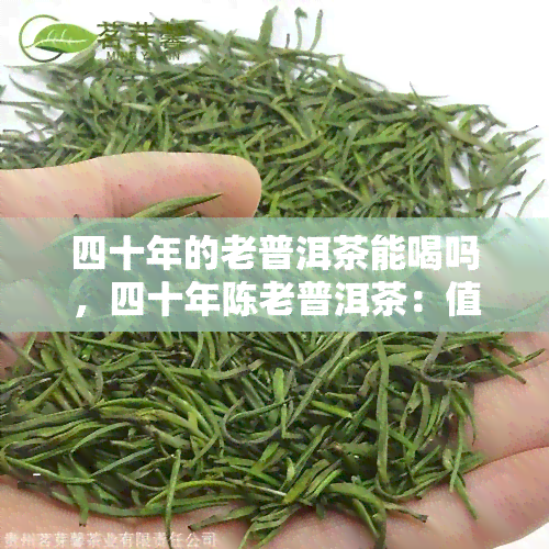 四十年的老普洱茶能喝吗，四十年陈老普洱茶：值得品饮还是过时待弃？